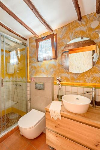 圣卢西亚Las Casas de la Rueda - La Casita的浴室配有卫生间、盥洗盆和淋浴。