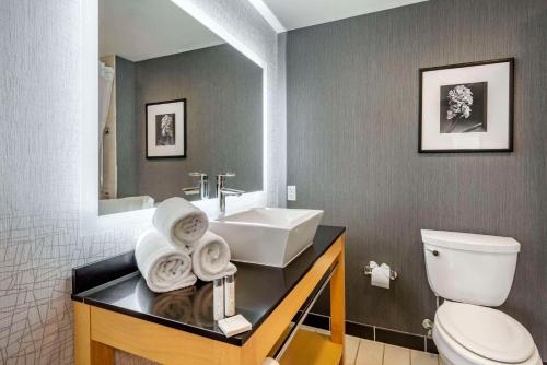 梅普尔格罗夫明尼阿波利斯枫树林坎布里亚酒店的一间带水槽和卫生间的浴室