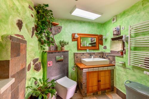 圣卢西亚Las Casas de la Rueda - El Patio的绿色浴室设有水槽和卫生间