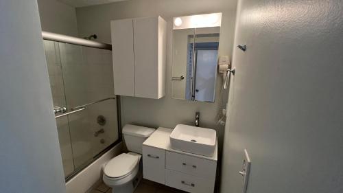 圣胡安New! 2 bedroom/bath in Isla Verde的一间带卫生间、水槽和镜子的浴室