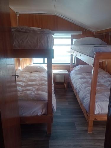 纳塔列斯港Isla yu backpacker的带窗户的客房内的两张双层床