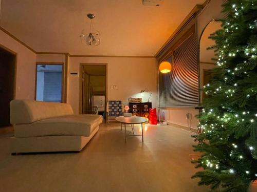 首尔Aufn Orange Bulb的带沙发和圣诞树的客厅
