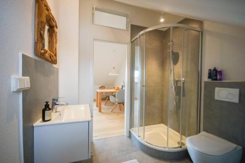 海德堡Modernes und helles Apartment im Loft Stil的带淋浴、卫生间和盥洗盆的浴室