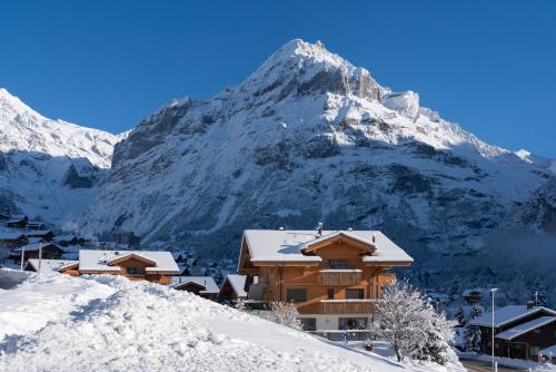 格林德尔瓦尔德Chalet Alia and Apartments-Grindelwald by Swiss Hotel Apartments的山底滑雪山林小屋