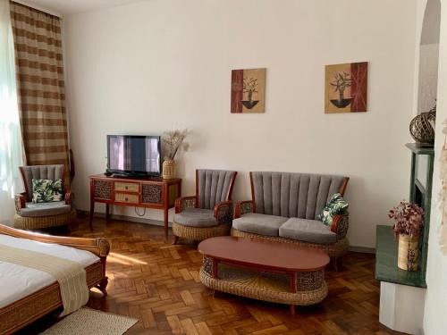 敖德萨豪华公寓酒店的客厅配有两把椅子和电视