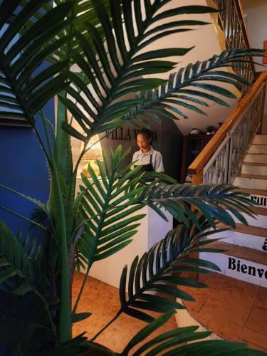 巴马科Villa Wilda的站在植物旁边的楼梯上的人
