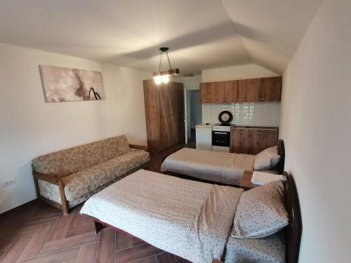 克拉列沃Apartmani Lena的带沙发的客厅和厨房