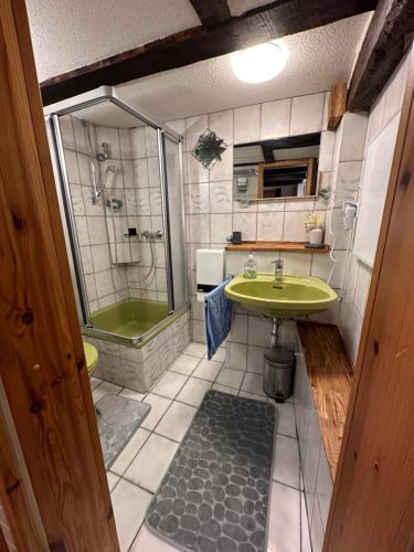 Ferienhaus Historisches Backhäuschen的一间带绿色水槽和淋浴的浴室