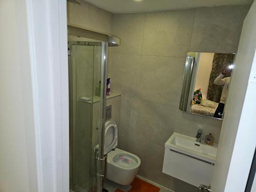 伦敦London Glamour Apartments的带淋浴、卫生间和盥洗盆的浴室