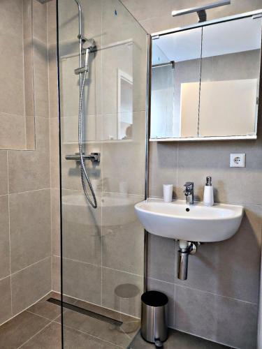 布拉河畔的海登海姆Lions Place Premium Apartments COMFORT optionaler Zugang zum SPA- Bereich的一间带水槽和淋浴的浴室