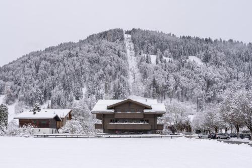 格施塔德Swiss Hotel Apartments - Gstaad的山上积雪的滑雪小屋