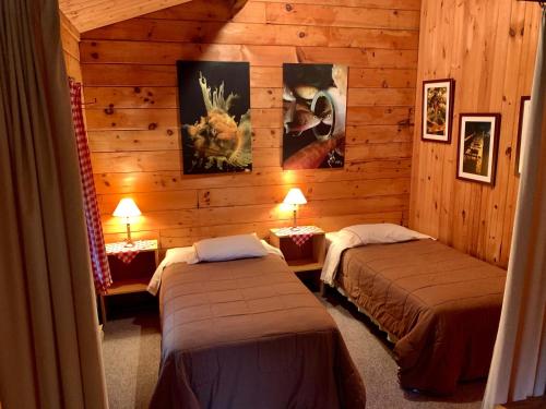 Janvrin IslandVipilodge的木墙客房的两张床