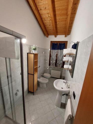 沃尔塔曼托瓦纳Il Vagabondo的浴室配有卫生间、盥洗盆和淋浴。