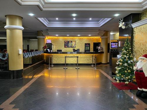 布卢梅瑙Hotel Europa的酒店大堂的圣诞树