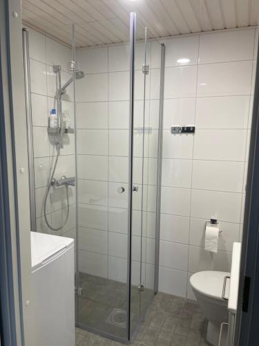 万塔Helsinki Airport Apartment的带淋浴和卫生间的浴室