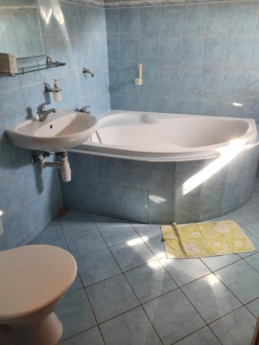 什特兰贝尔克Štramberk V Kútě的一间带水槽、浴缸和卫生间的浴室