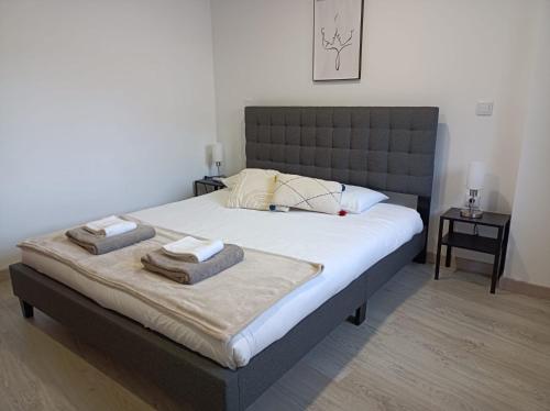 布拉干萨Refúgio Transmontano的一间卧室配有一张大床和毛巾