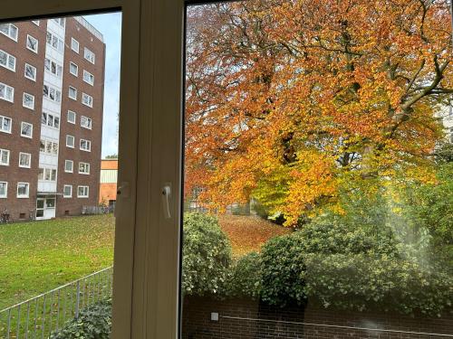 汉堡Moin Hamburg Apartments的享有秋叶树景致的窗户