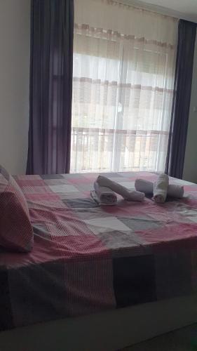 奥赫里德Flat in Trpejca的一间卧室配有一张带窗户的床