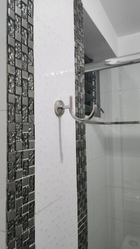 塔克纳HOSTAL EL REFLEJANTE的浴室内装有金属把手的玻璃门