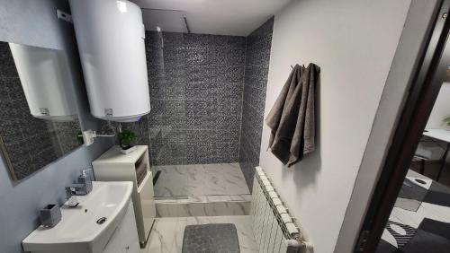 托普利察Casa D的一间带水槽和淋浴的小浴室