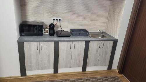 托普利察Casa D的厨房柜台设有水槽和微波炉