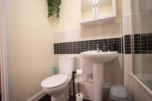 斯蒂夫尼奇Cosy 2 Bedroom flat in Stevenage的一间带卫生间和水槽的小浴室