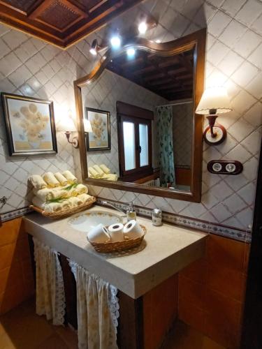 普韦布拉桑纳比亚La Artesonada casa con finca (Puebla de Sanabria).的一间带水槽和镜子的浴室