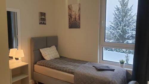 弗罗茨瓦夫White Room Wrocław przy Wyspie Opatowickiej的一间卧室设有一张床和一个大窗户