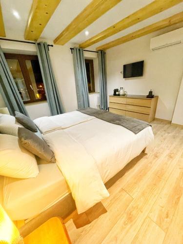 埃圭斯海姆Chambre Super Broussard的一间卧室配有一张大床和电视