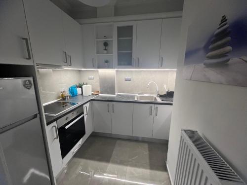 塞雷Serres city center modern apartment (Monika)的小厨房配有白色橱柜和水槽
