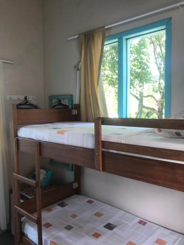 普腊亚罗萨Paikea Hostel Praia do Rosa的带窗户的客房内的两张双层床
