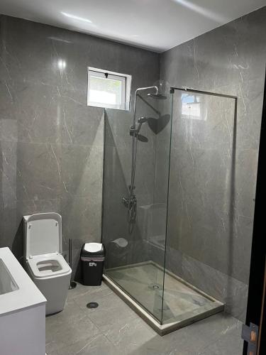 ÓrgãosVILLA NAYELI Luxury and Simplicity的带淋浴和卫生间的浴室