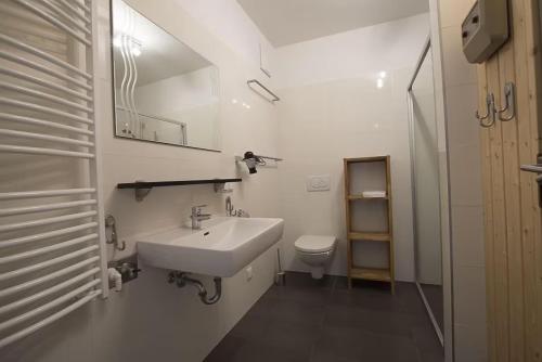 索内纳尔佩·纳斯费尔德CKPK豪华公寓的白色的浴室设有水槽和卫生间。