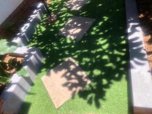 索韦托MajaK Guesthouse的草上树的影子