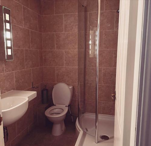 汉默The Hanmer Arms的浴室配有卫生间、盥洗盆和淋浴。