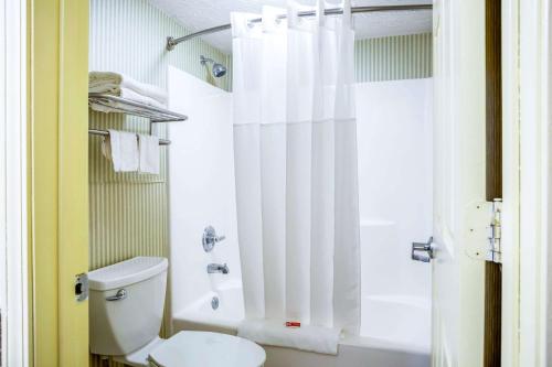 亨廷顿Econo Lodge Huntington - Barboursville University Area的一间带卫生间和淋浴的浴室