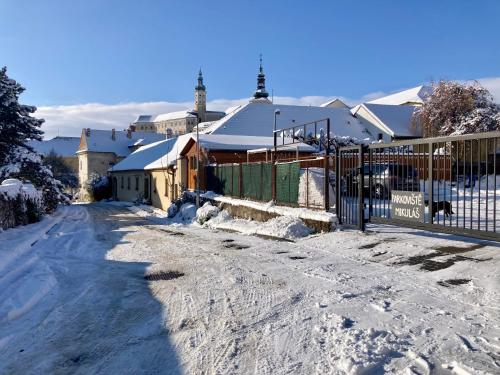 米库洛夫Guesthouse Mikuláš Mikulov - free parking in the city center的一条有栅栏和建筑物的雪覆盖的街道