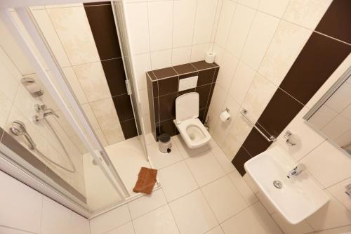 布尔诺Penzion Patron的带淋浴、卫生间和盥洗盆的浴室