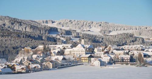 WenigzellPANORAMA SportHOTEL的一座有雪盖建筑和山的小镇