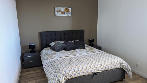 福龙河畔拉罗什Domaine de la Griffe - Appartement moderne à la montagne的一间卧室配有带枕头的床