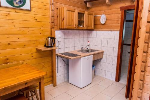 多布奇采Noclegi-Dobczyce的一个带水槽和柜台的小厨房