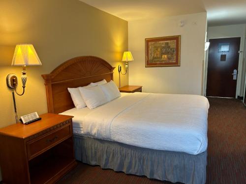 奥兰多Orlando Palms的酒店客房配有一张床和电话