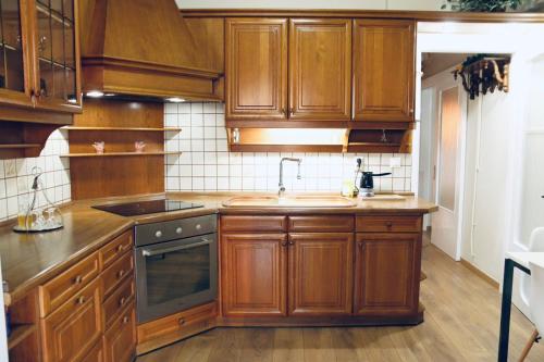 拉里萨Nikis apartment的一个带木制橱柜和水槽的厨房