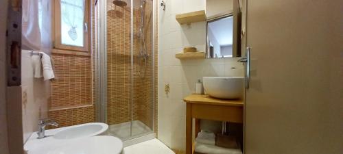 瓦尔富尔瓦Casa Zebrusius - Zebrusius's App的一间带水槽和玻璃淋浴的浴室