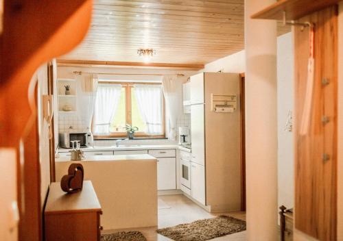 里茨勒恩Ferienwohnung Jochum-Pfeiffer的带冰箱和窗户的小厨房