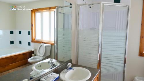 蓝山萨米特里奇2号木屋的一间带水槽、淋浴和卫生间的浴室