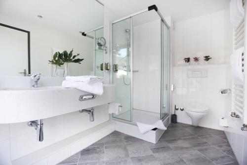 利斯塔尔Hotel Engel Business & Lifestyle的一间带水槽和玻璃淋浴的浴室