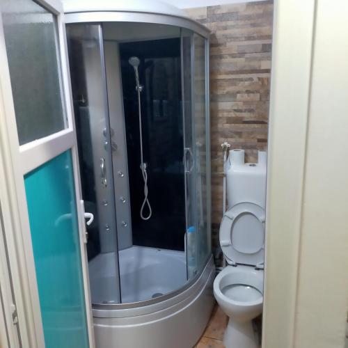 布加勒斯特Vila ELENA Ap 1的一间带卫生间和玻璃淋浴间的浴室