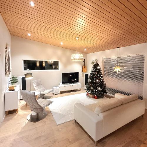 罗瓦涅米Gorgeous Arctic Lodge的客厅配有圣诞树和沙发